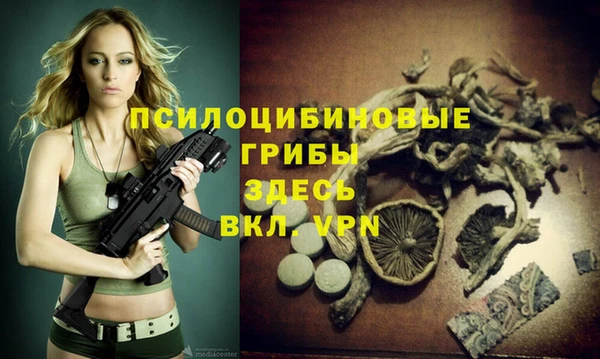 герыч Абинск